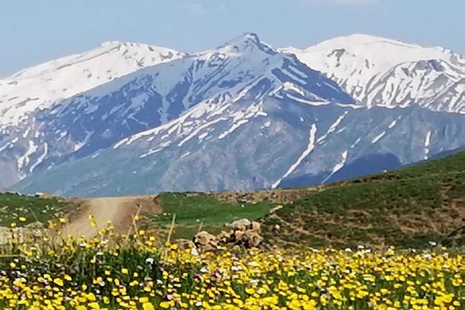 Cisad bir haftada üç faaliyet gerçekleştirdi 2