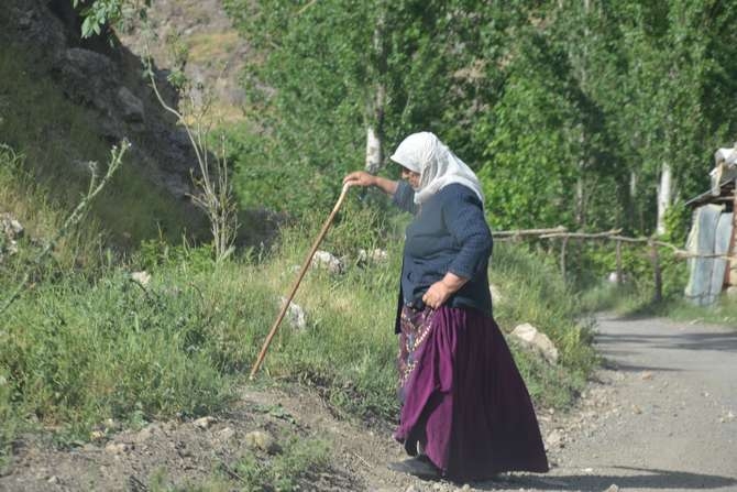 Beytüşşebap doğası göz kamaştırıyor 11
