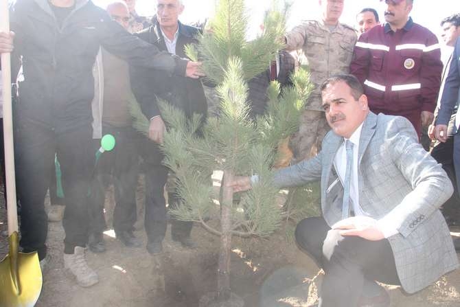 Halk, asker ve polis 50 fidan dikti 25