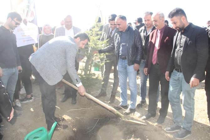 Halk, asker ve polis 50 fidan dikti 26