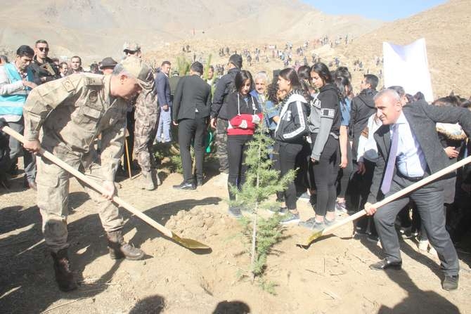 Halk, asker ve polis 50 fidan dikti 35