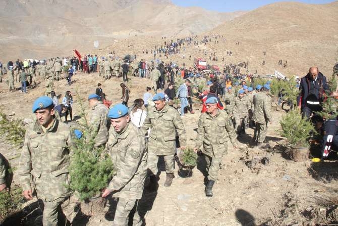 Halk, asker ve polis 50 fidan dikti 40