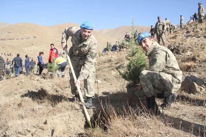 Halk, asker ve polis 50 fidan dikti 43