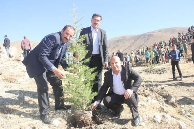 Halk, asker ve polis 50 fidan dikti 53