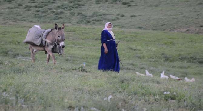 Beytüşşebap Faraşin Yaylası 8