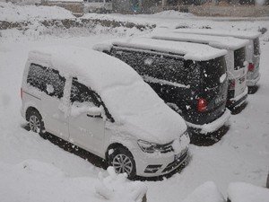 Yüksekova'da kar yağışı