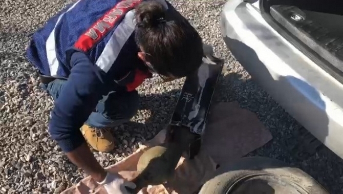 Paha biçilemez eserler süpürge kutusundan çıktı 2