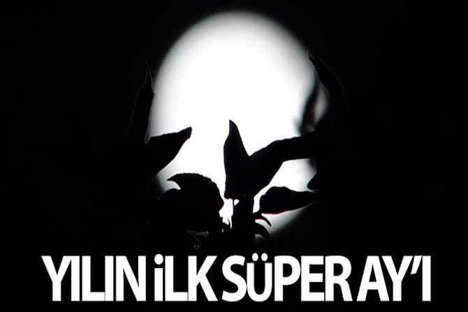 Van'da yılın ilk ‘Süper Ay'ı kartpostallık görüntüler oluşturdu 1