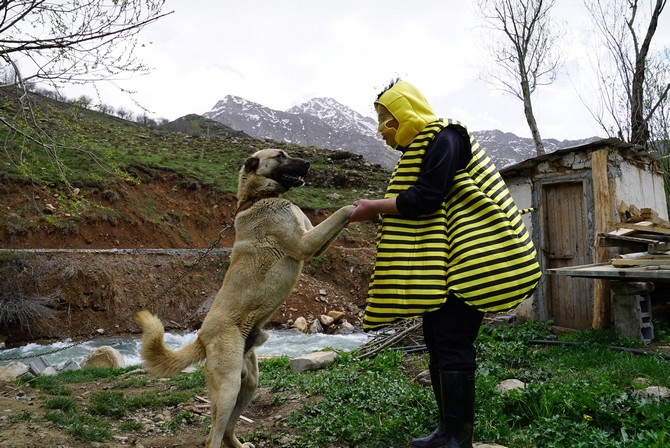 Aydın Aydın hayvanlarla helalleşti 9