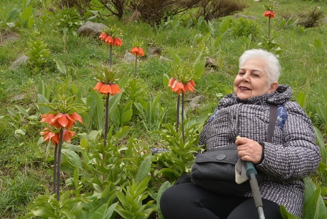 Turistler Ters lale bahçesine hayran kaldı 1