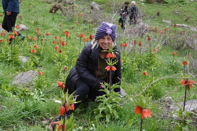 Turistler Ters lale bahçesine hayran kaldı 10