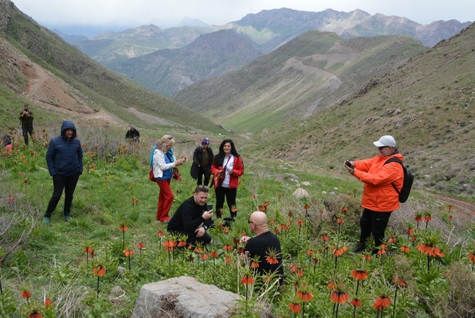 Turistler Ters lale bahçesine hayran kaldı 11