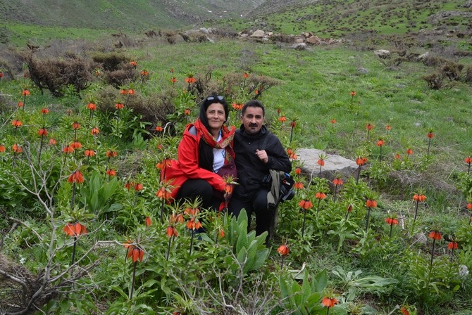 Turistler Ters lale bahçesine hayran kaldı 15