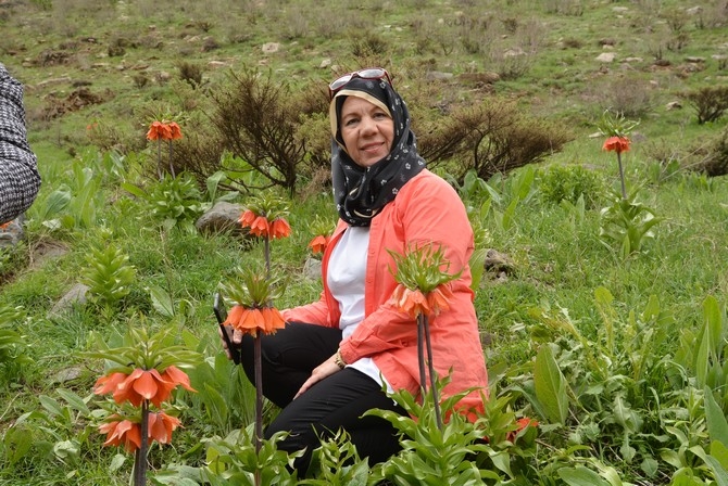 Turistler Ters lale bahçesine hayran kaldı 2