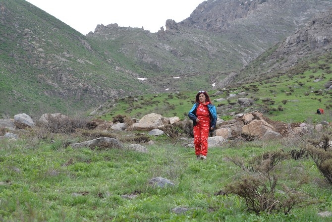 Turistler Ters lale bahçesine hayran kaldı 21