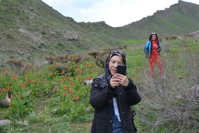 Turistler Ters lale bahçesine hayran kaldı 22