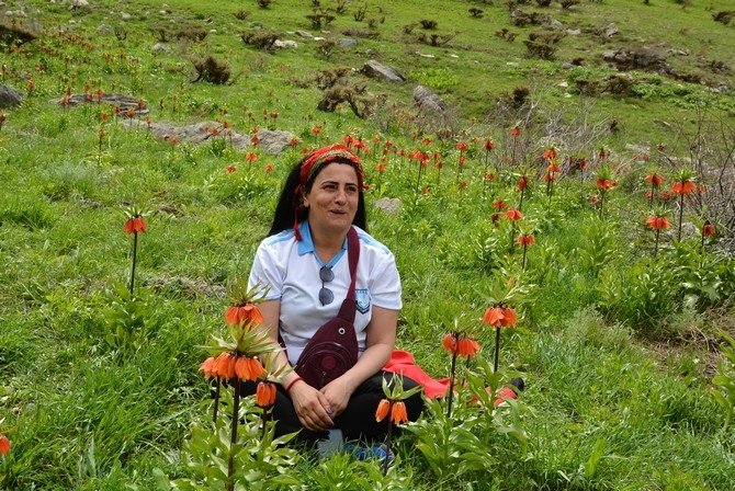 Turistler Ters lale bahçesine hayran kaldı 7