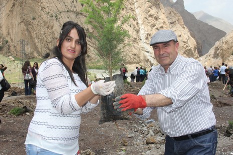 Hakkari'de fidan dikimi 10