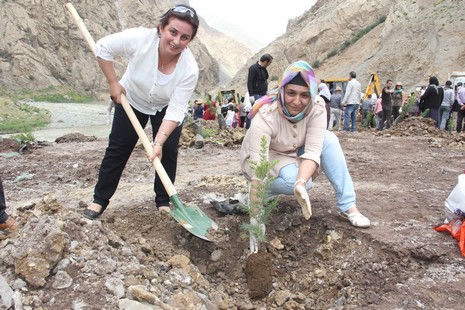 Hakkari'de fidan dikimi 11