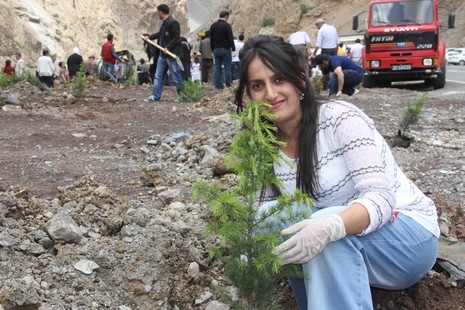 Hakkari'de fidan dikimi 12