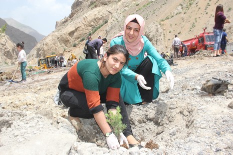 Hakkari'de fidan dikimi 14