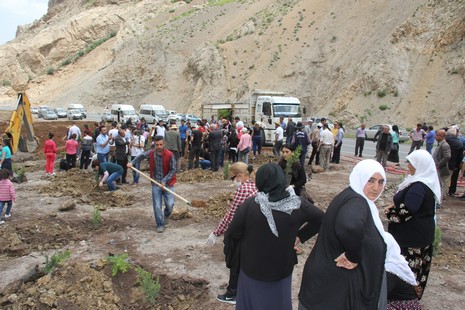 Hakkari'de fidan dikimi 15