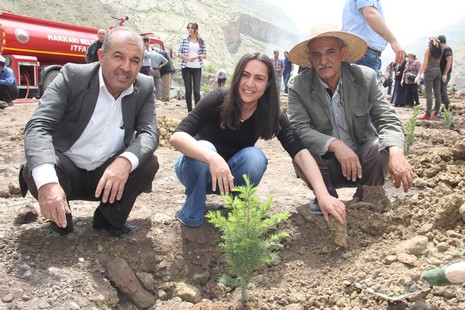 Hakkari'de fidan dikimi 16