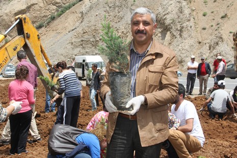 Hakkari'de fidan dikimi 17