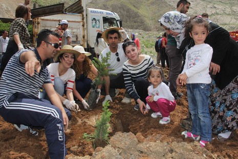 Hakkari'de fidan dikimi 18