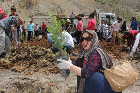 Hakkari'de fidan dikimi 20
