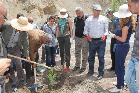 Hakkari'de fidan dikimi 3