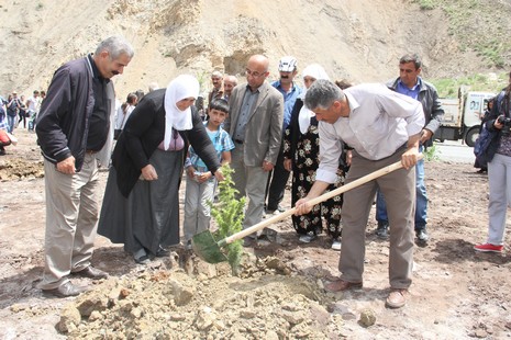 Hakkari'de fidan dikimi 4