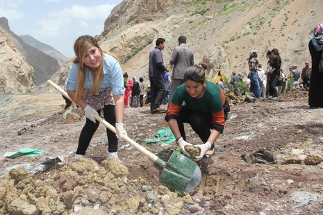 Hakkari'de fidan dikimi 5