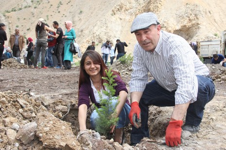 Hakkari'de fidan dikimi 6
