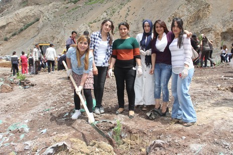 Hakkari'de fidan dikimi 7
