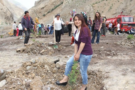 Hakkari'de fidan dikimi 8