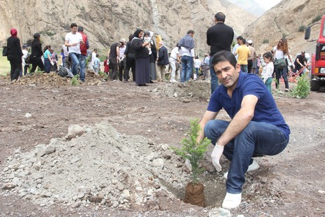 Hakkari'de fidan dikimi 9