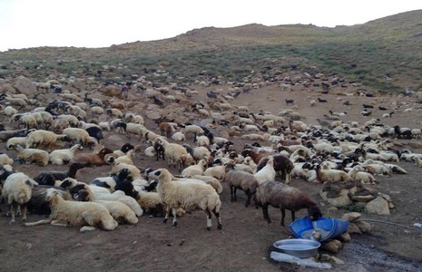 Başkan Keskin yayladakilerle bayramlaştı 2