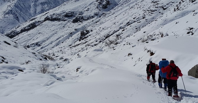 Hakkari Samur Dağı 2