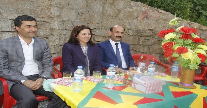 Çığlı köyü seçim çalışması 2015 16