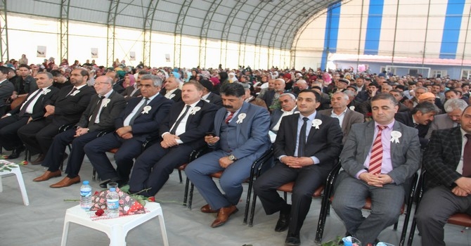 Kutlu doğum haftası coşkusu 2017 2