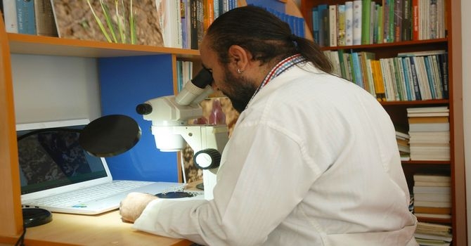 Hakkari’de iki yeni süsen bitkisi keşfedildi 3