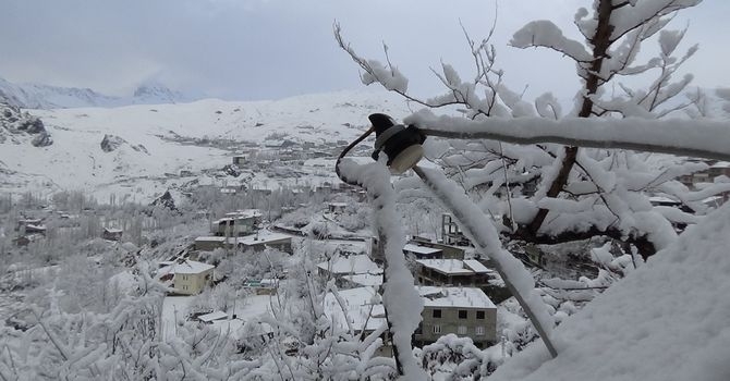 Hakkari’den kar manzaraları 1