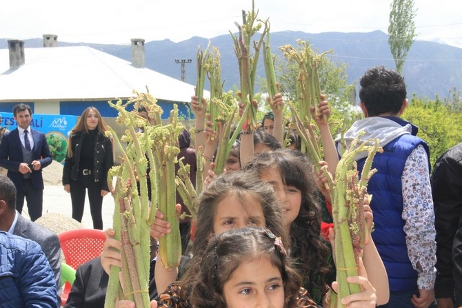 Hakkari’de 2. Uçkun festivali” düzenlendi 12