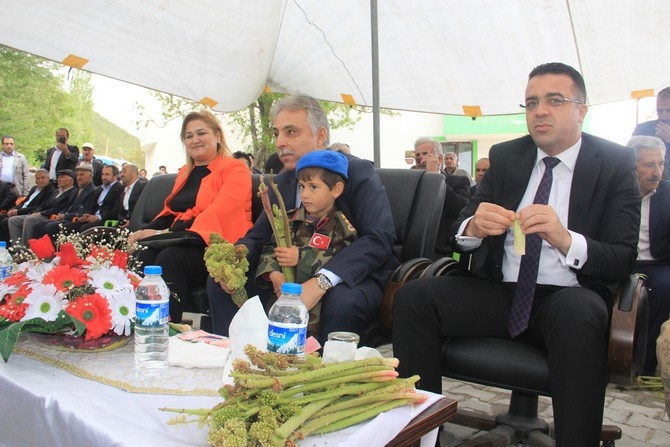 Hakkari’de 2. Uçkun festivali” düzenlendi 13