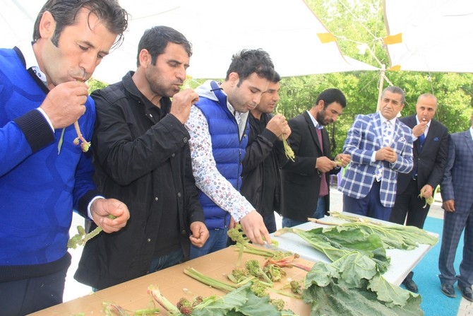 Hakkari’de 2. Uçkun festivali” düzenlendi 18