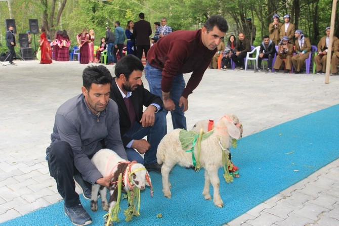 Hakkari’de 2. Uçkun festivali” düzenlendi 22