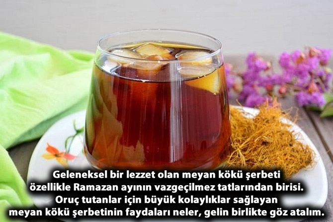 Meyan kökü şerbetinin faydaları 1