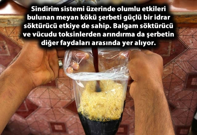 Meyan kökü şerbetinin faydaları 2