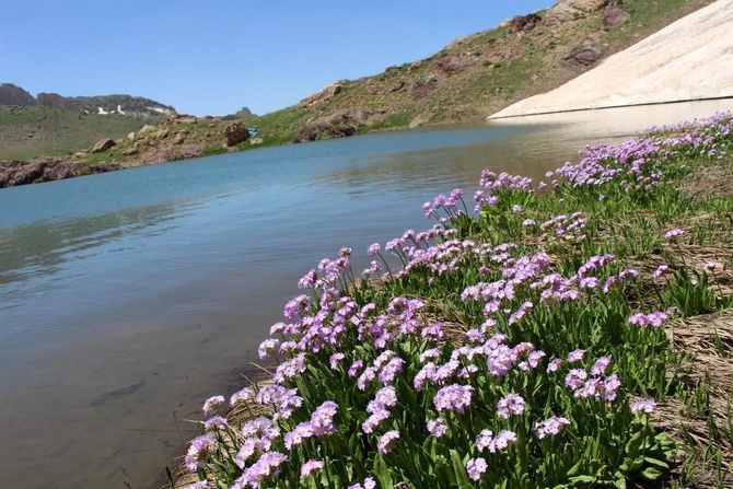 Hakkari’nin muhteşem doğa güzellikleri 1